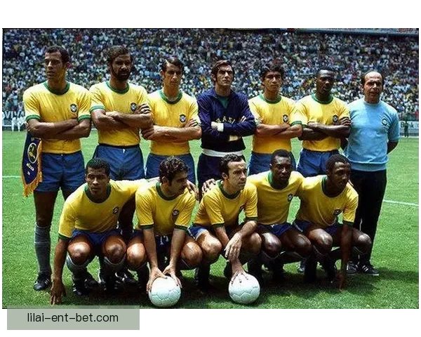 世界杯竞猜赔率平台分析与预测，助你赢得更多精彩投注机会